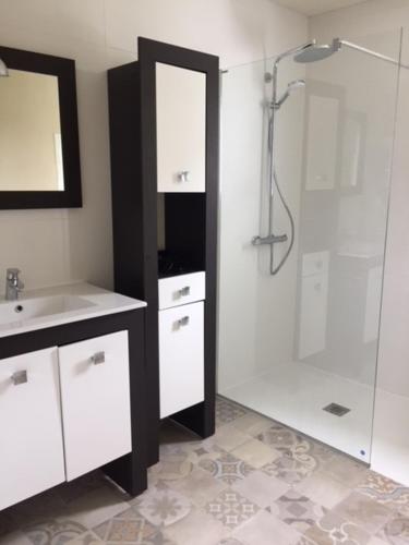 une salle de bain avec une douche, un lavabo et un miroir dans l'établissement MAISON BELLEVUE 3 étoiles 4 à 10P, à Laruns