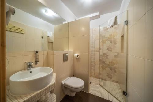 a bathroom with a sink and a toilet and a shower at Butorowy Dwór in Kościelisko