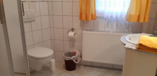 a small bathroom with a toilet and a sink at Gästehaus Glücksgrat in Neustift im Stubaital
