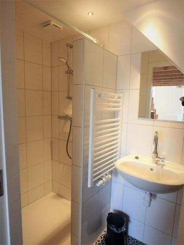 Ένα μπάνιο στο Sport B&B De Veluwezoom