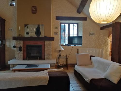 a living room with a couch and a fireplace at Histoire d'eau in Rupt-sur-Saône