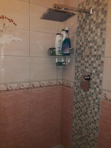 a shower with a glass shower stall with bottles on a shelf at Newlands East Home With A Beautiful View in Durban