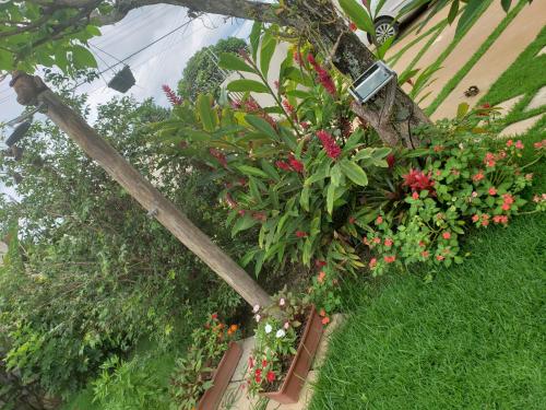 Zahrada ubytování Pousada das Orquídeas