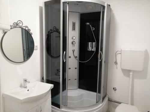La salle de bains est pourvue d'une douche, d'un lavabo et d'un miroir. dans l'établissement FilinHome Zmaj Jovina Suite, à Novi Sad