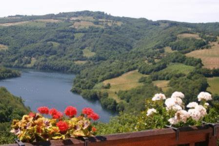 a view of a lake and flowers on a ledge at Auberge du Lac in Mandailles