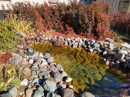 a pool of water with rocks in a garden at The Wilderness Inn in Enterprise