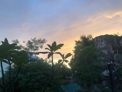 a group of trees with a mountain in the background at Kalpana Yoga Homestay in Jaipur