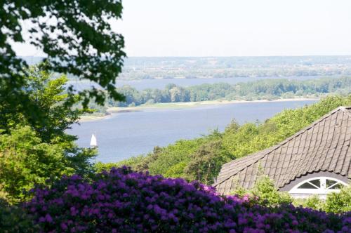 a view of the water from the hill with purple flowers at Gästehaus des Elsa Brändström Haus in Hamburg