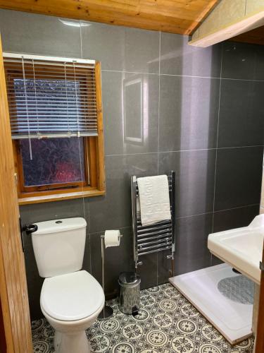 ein Bad mit einem WC und einem Waschbecken in der Unterkunft Otter 4 Hot Tub - HuntersMoon-Warminster-Bath-Salisbury in Warminster