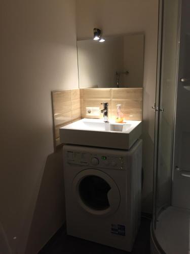 a bathroom with a sink and a washing machine at Cat Garden Deluxe Apartments Riga in Rīga