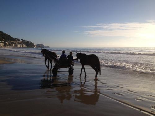 two people riding in a horse drawn carriage on the beach at Hotel Villa Igea in Alassio