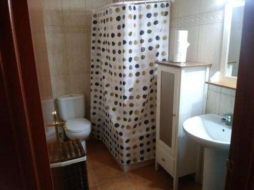uma casa de banho com um WC e uma cortina de chuveiro em APARTAMENT DE LA LALI ESCALÓ em Escaló