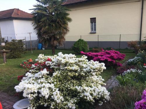 a garden of flowers in front of a house at Grandma's garden house in Angera