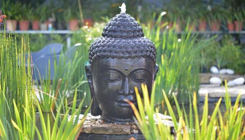 a statue of a head in the middle of a garden at Casa das Carpas in Vizela