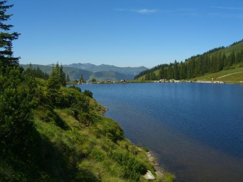 a large body of water with trees in the background at Gästehaus Hofer in Brixen im Thale