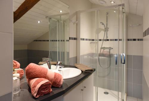 y baño con lavabo y ducha. en Auberge du Couvige, en Le Bouchet-Saint-Nicolas