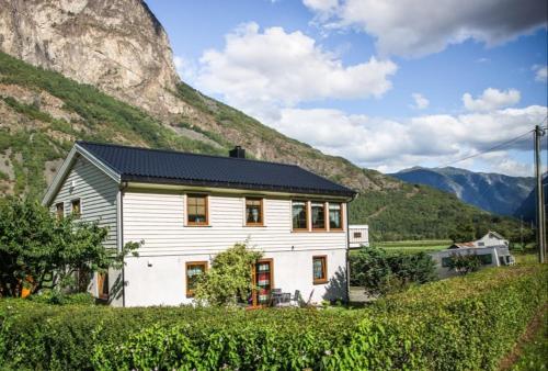a white house with a mountain in the background at Apartment AliS in Tønjum