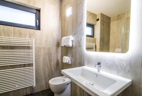 a bathroom with a sink and a toilet and a mirror at Hotel Alla Fonte in Arta Terme