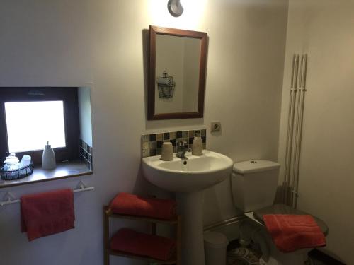 a bathroom with a sink and a toilet and a mirror at Le Moulin de Champagne in Viriat