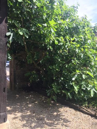Le Moulin de Champagne – Photos 3