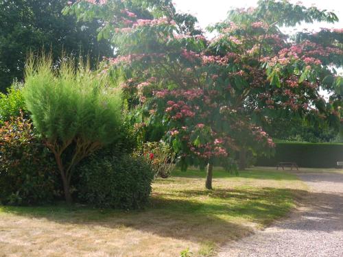 A garden outside Gîte Les Sageais