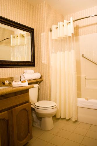 a bathroom with a toilet and a shower at Borrego Springs Resort in Borrego Springs