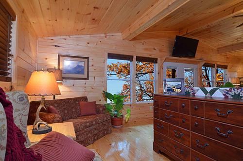 a living room with a couch and a tv in a cabin at #820 Honeymoon Hideaway in Gatlinburg