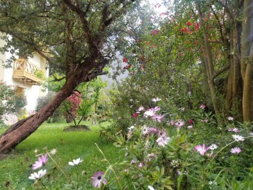 a garden with flowers in front of a house at Apu Lodge in Ollantaytambo