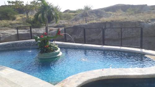 a swimming pool with a plant in the middle at El Peñon De Constantino - Tatacoa in Villavieja