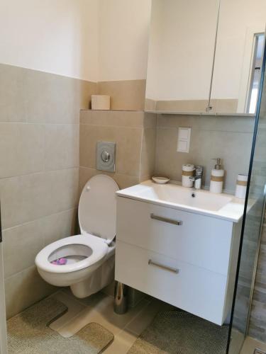 a bathroom with a toilet and a sink at Enjoyit Velden West in Selpritsch