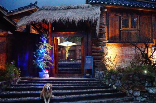 No.5 Valley Lodgeにある庭