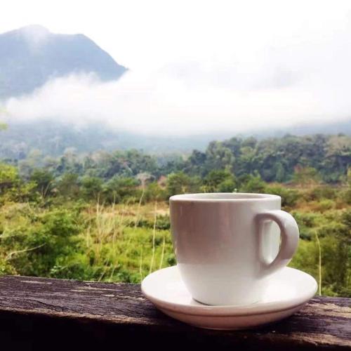 a white coffee cup sitting on top of a table at SuanPhao Guesthouse in Ban Ngoy-Nua