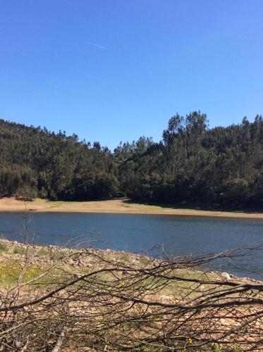 a body of water with trees in the background at Unique Tiny House with Natural Building Techniques in Figueiró dos Vinhos