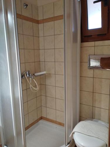 a bathroom with a shower with a toilet at To Spiti tis Irinis in Vitina