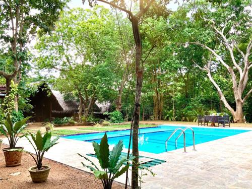 a swimming pool in a yard with trees at A4 Villa & Spa. in Habarana