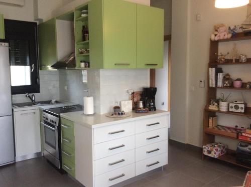 green guesthouse في كوموتيني: مطبخ مع دواليب خضراء واجهزة بيضاء