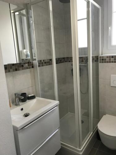 une salle de bain avec une douche, un lavabo et des toilettes dans l'établissement Très bel appartement de style ancien avec sa terrasse en bois en coeur de ville, à Compiègne