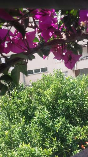 Gallery image of Centar Guest house in Makarska