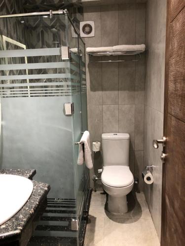a bathroom with a toilet and a sink and a shower at Maxim Hotel in Cairo