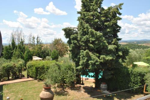 a view of a garden with a large tree at Agriturismo la Nicchia in Castelnuovo Berardenga