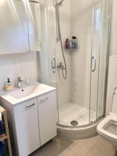 a bathroom with a shower and a sink and a toilet at Schönes Ferienhaus direkt am Meer in Stomorska