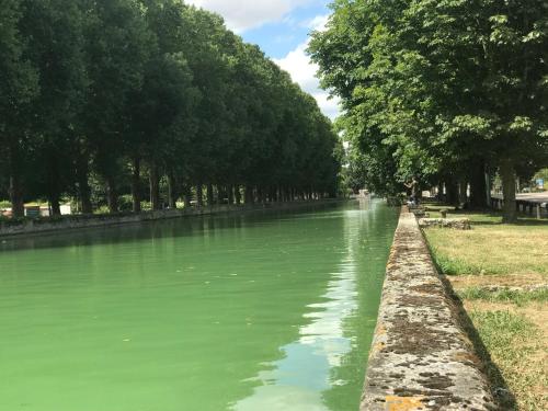a river with trees on the side of it at Luxurious Townhouse 10 mins walk to Epernay centre in Épernay