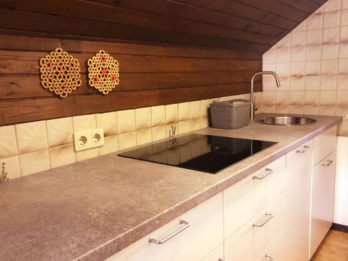 Küche/Küchenzeile in der Unterkunft Apartments Franc