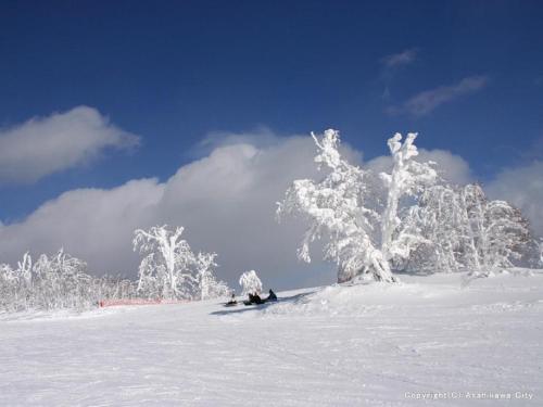 a person riding a snowboard down a snow covered slope at Stay In Biei in Biei