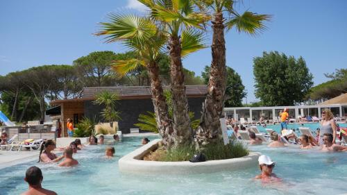 a group of people in a swimming pool with palm trees at Mobil home au castellas marseillan in Sète
