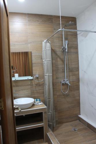 a bathroom with a shower and a sink at Green Apartment in Kazbegi