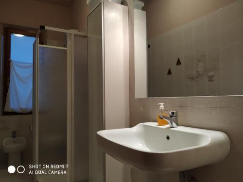 W łazience znajduje się biała umywalka i prysznic. w obiekcie Terre di creta...per sognare w mieście Pomaia