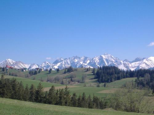 una vista de una cadena montañosa cubierta de nieve en Zacisze, en Biały Dunajec