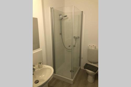 a bathroom with a shower and a sink and a toilet at Zimmer1 in Alzenau in Unterfranken