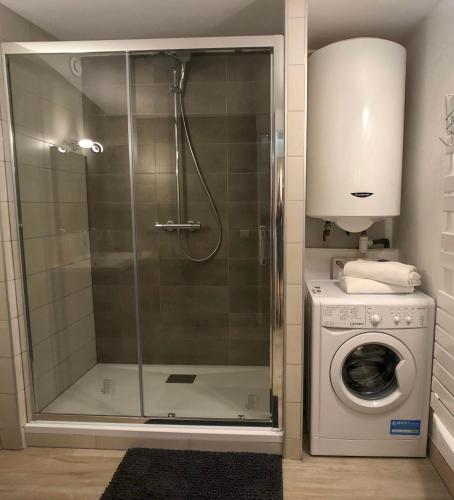 une douche dans une salle de bain avec machine à laver dans l'établissement Beauty & The Beast - Old Town Cosy Apartments, à Colmar